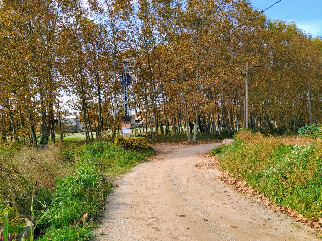 Continuar endavant amb la força necessària